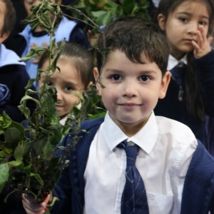 Celebración de Ramos